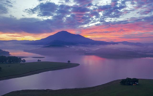 소비쿠폰, 사용처부터 신청까지 핵심 정보 한눈에