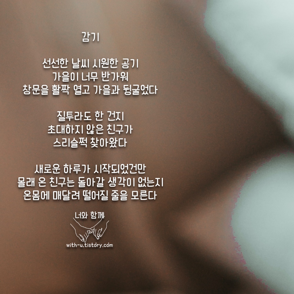  감기 명언 : 짧고 좋은 글귀 : 짧은 명언