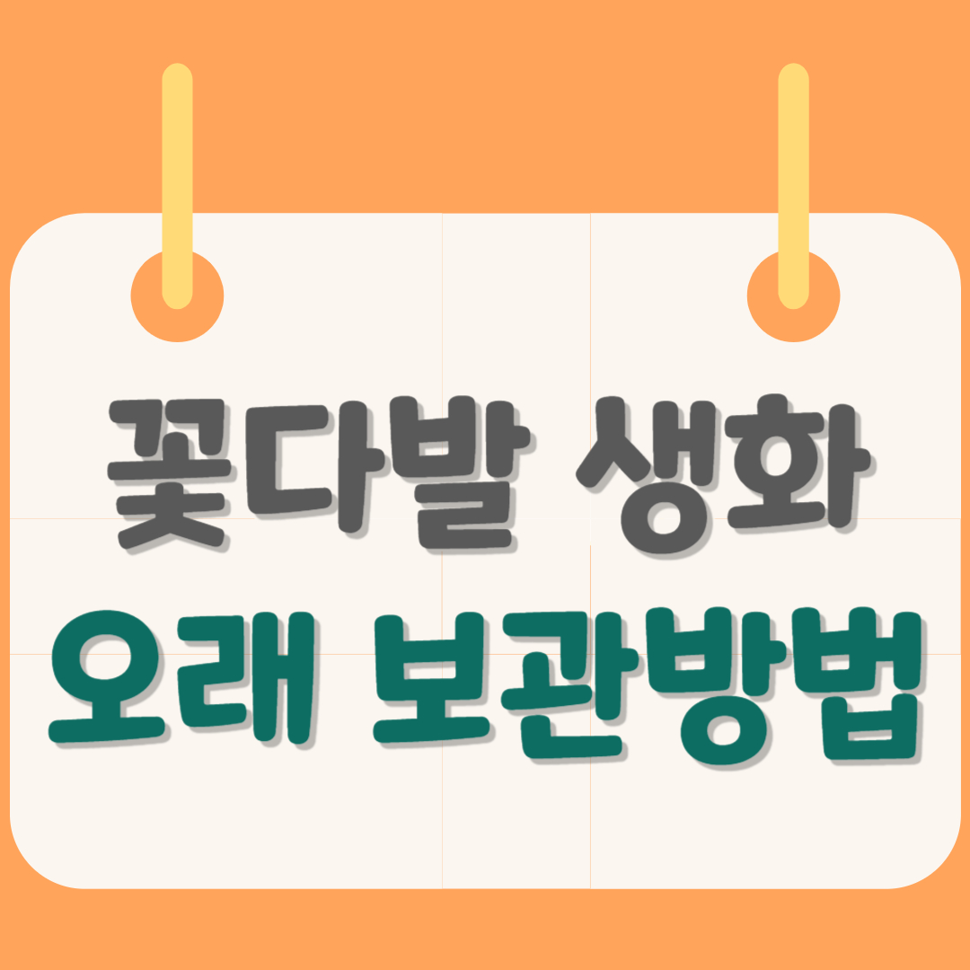 꽃다발-보관