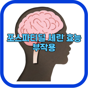 포스파티딜 세린 효능 부작용