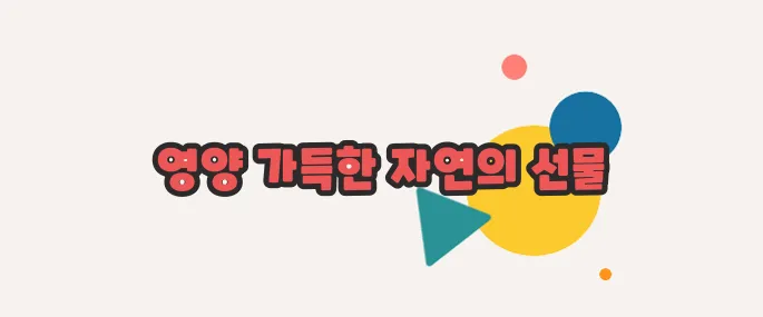 호박씨 효능 자세하고 정확하게 설명드릴게요