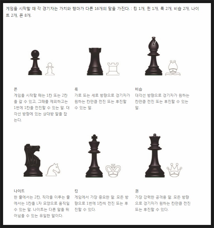 체스 말에 대한 설명 사진