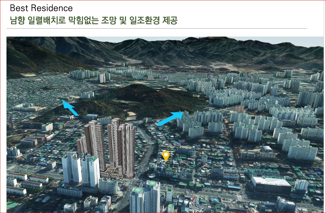 라디체 이미지