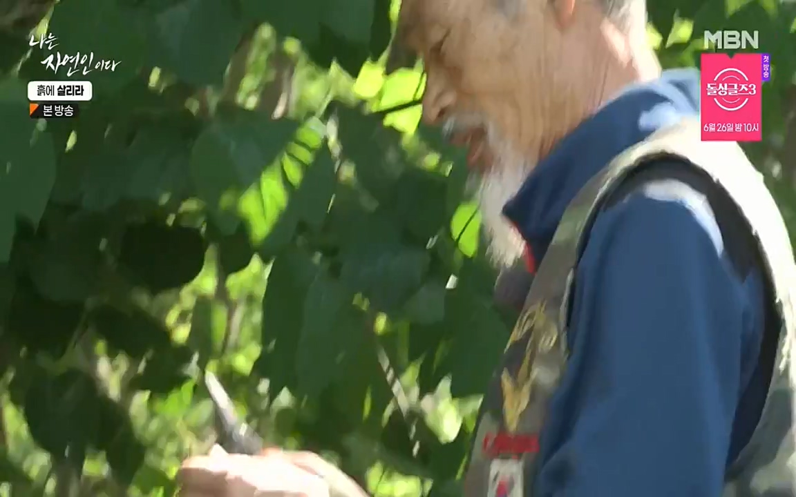 나는 자연인이다.E507.220623p-NEXT.mp4_20220623_204043.073.jpg