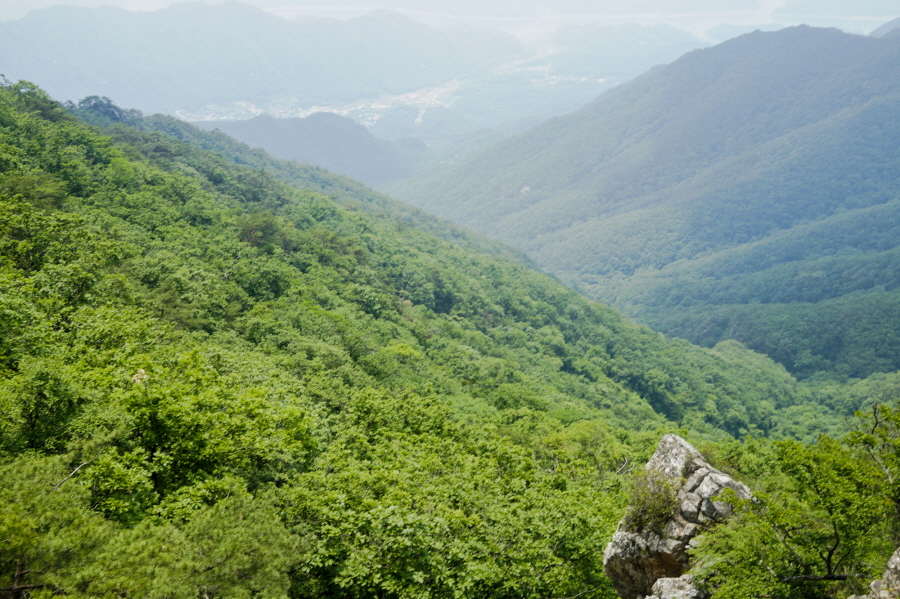 한국 명산 충북 제천 금수산 등산 mountain hiking