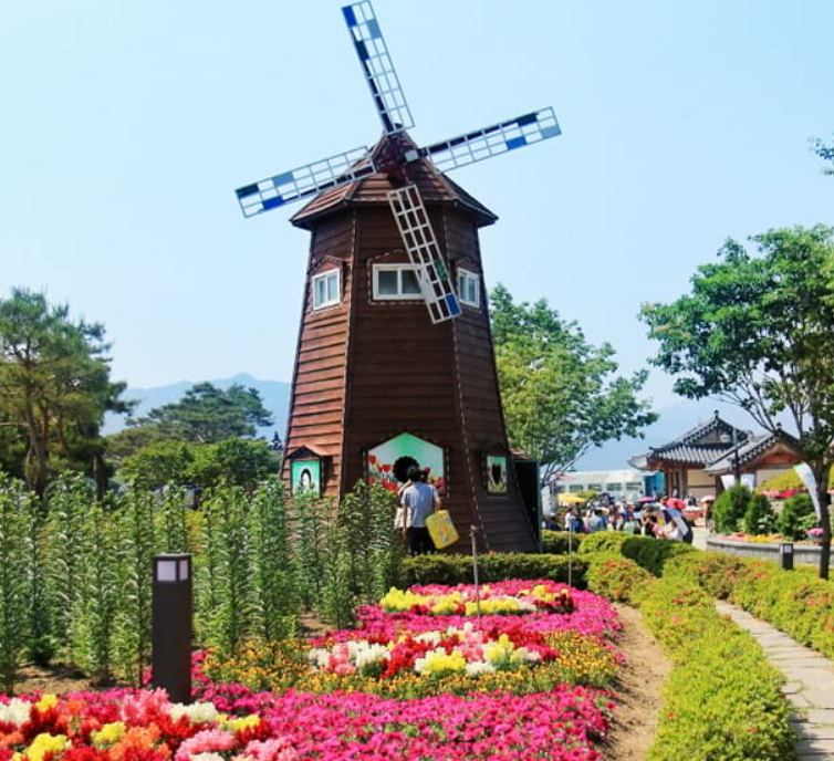 곡성장미축제