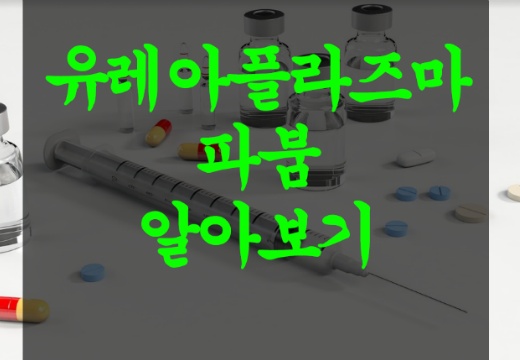  유레아플라즈마 파붐 성병? 원인과 해결책!