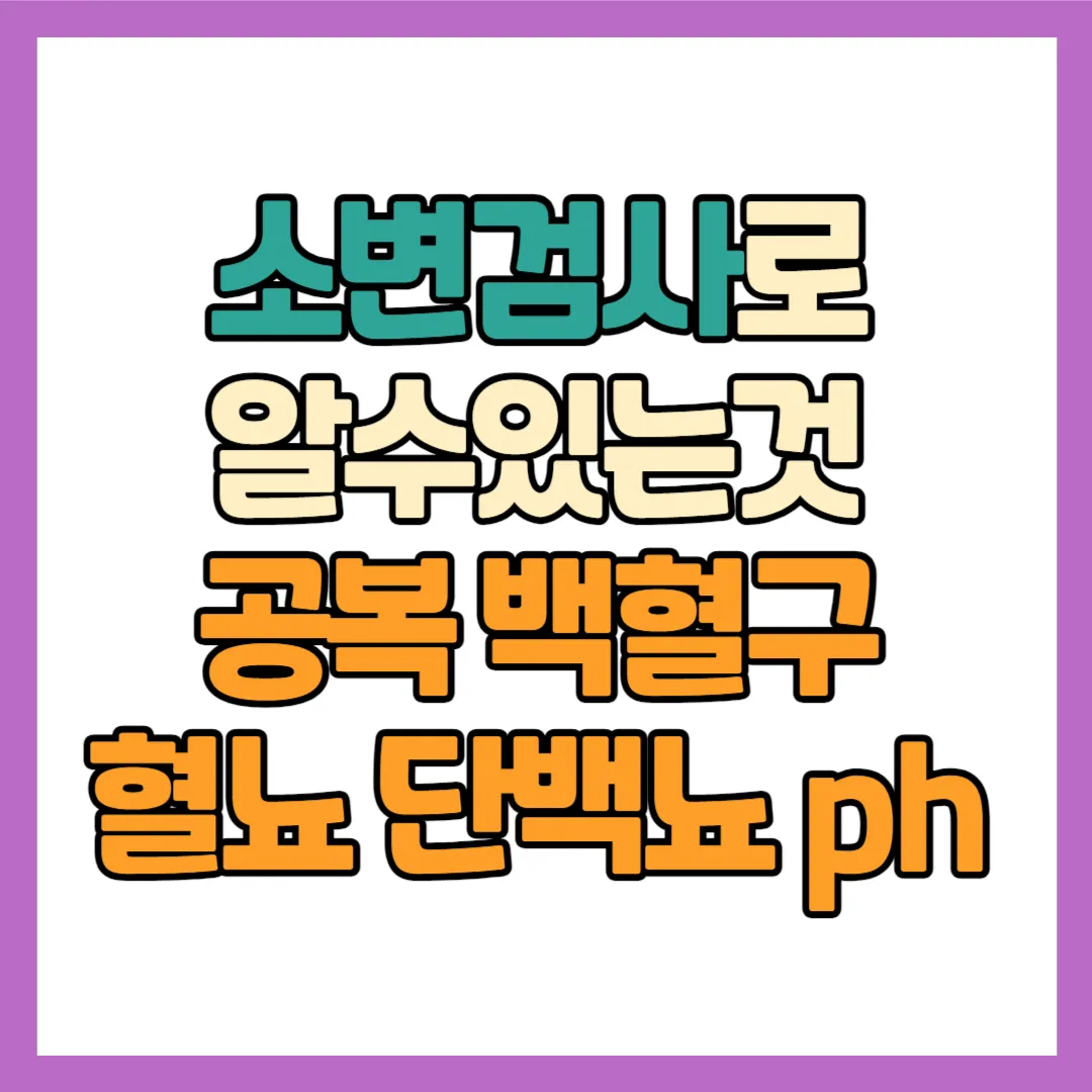 소변검사로 알수있는것 공복 백혈구 혈뇨 단백뇨 ph