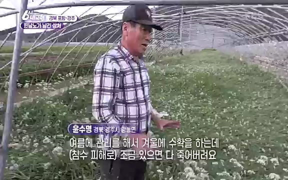 [7612회] 6시 내고향 - KBS7612회] 6시 내고향.ts_20220912_174114.953.jpg