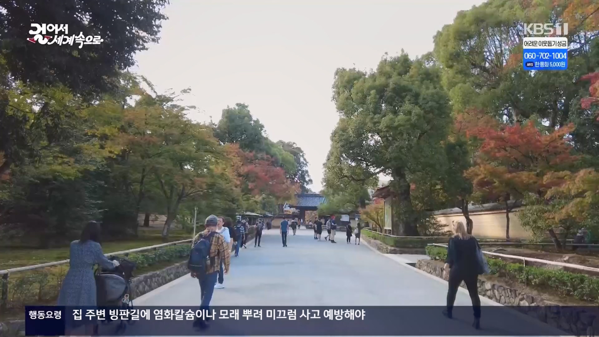 걸어서 세계속으로.E821.231216p.H264-F1RST.mp4_20240127_165045.922.jpg