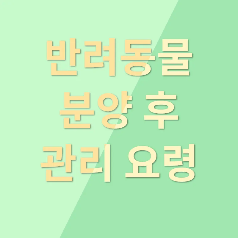 동물분양_3