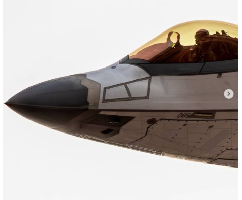 반사 물질 모자이크를 적용한 F-22의 전방동체 모습