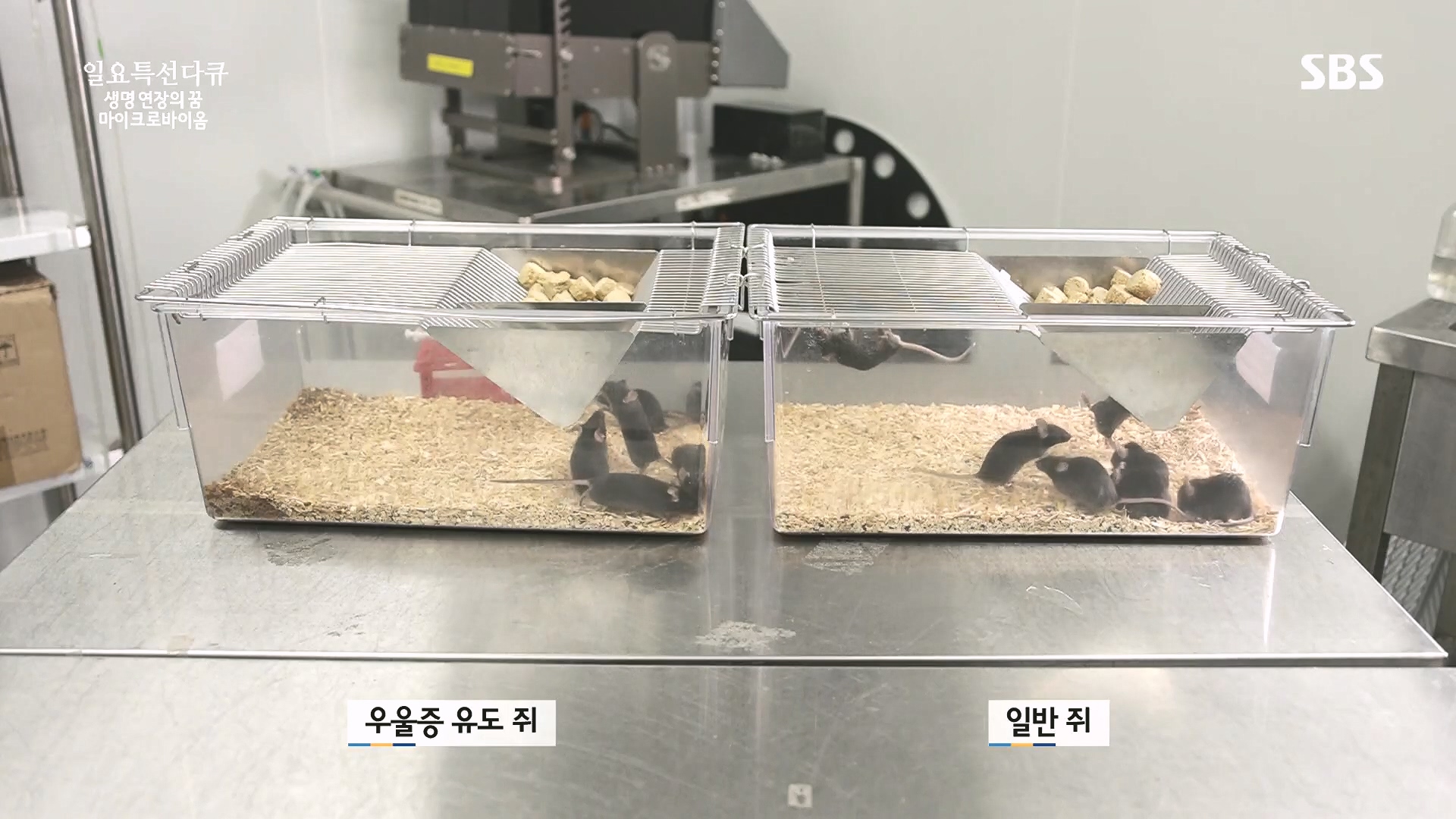 일요 특선 다큐멘터리.E318.230903p.H264-F1RST.mp4_20230907_203551.695.jpg