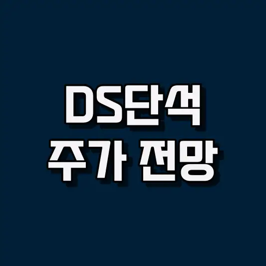 DS단석 주가 전망