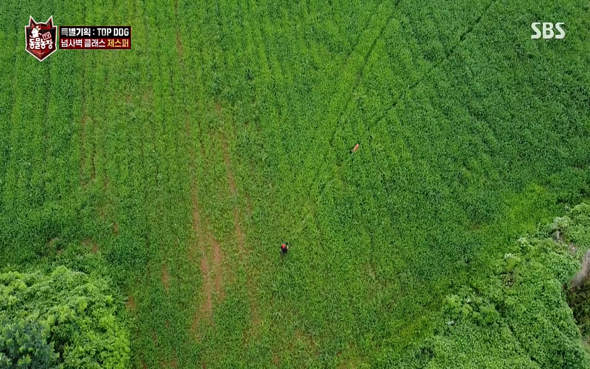 TV 동물농장.E1085.220905p-NEXT.mp4_20220904_173555.368.jpg