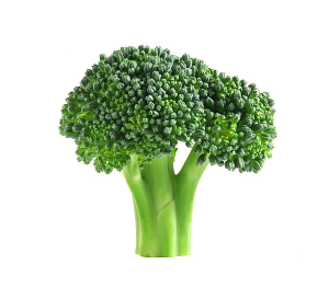 Knowing Your Broccoli: Understanding Characteristics of False Hunger and How to Differentiate.