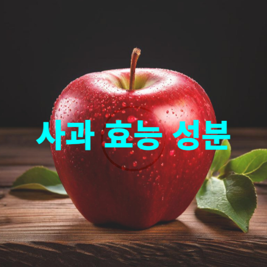 사과 효능 영양 성분