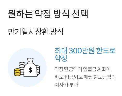 만기일시상환