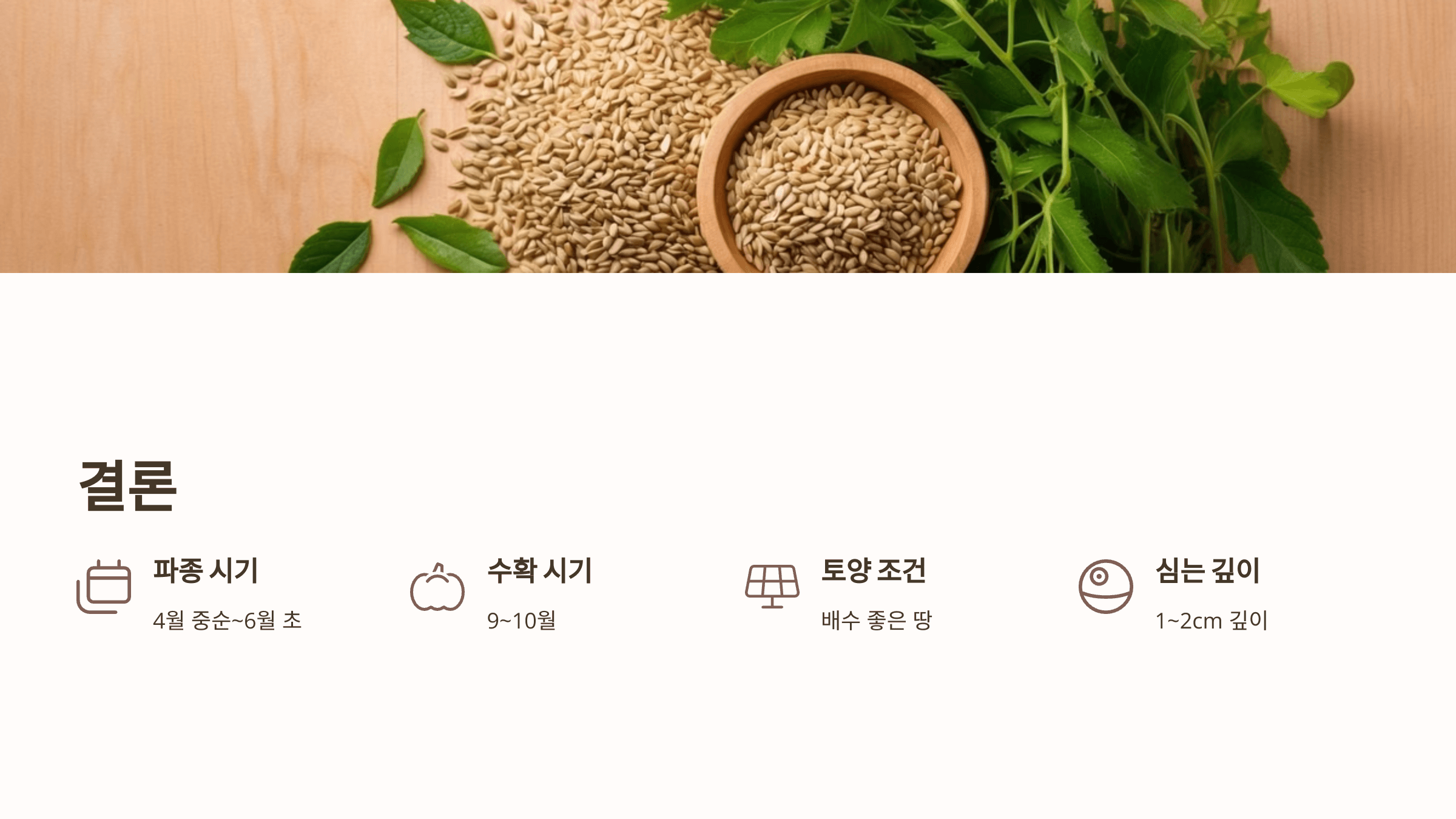 들깨 사진입니다.