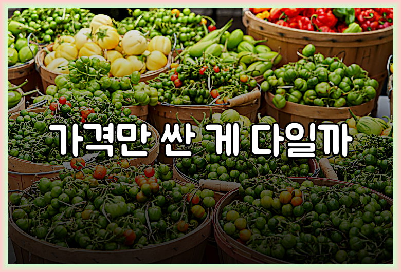 가격만 싼 게 다일까