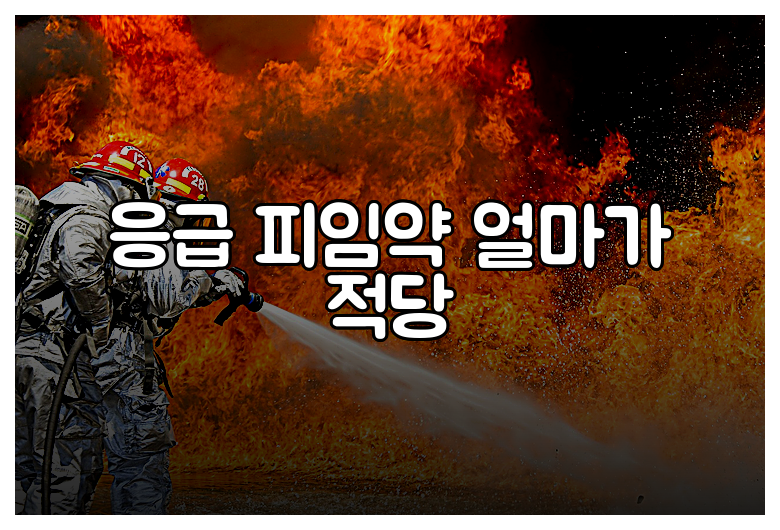 응급 피임약 얼마가 적당