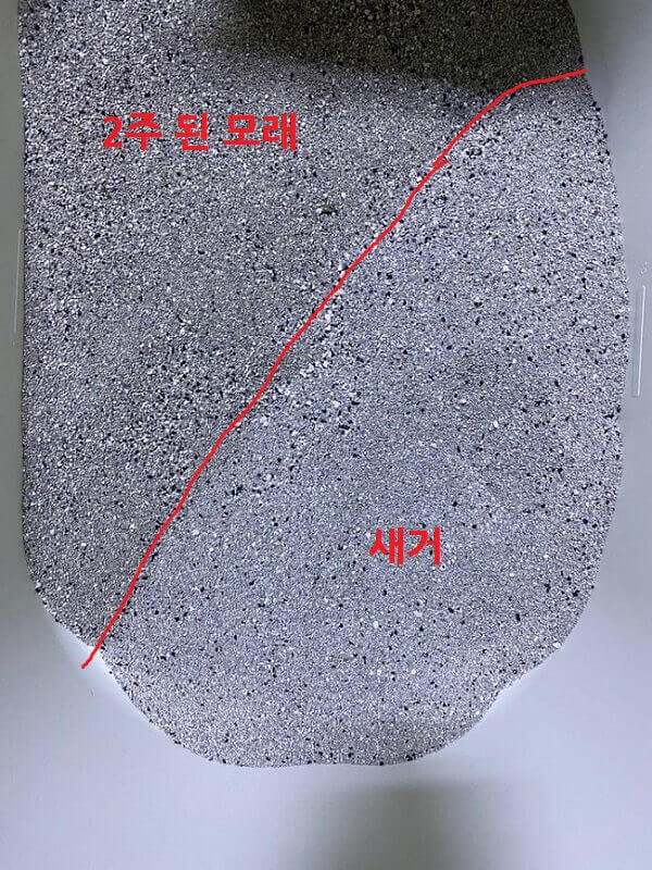 기간에-따른-변화