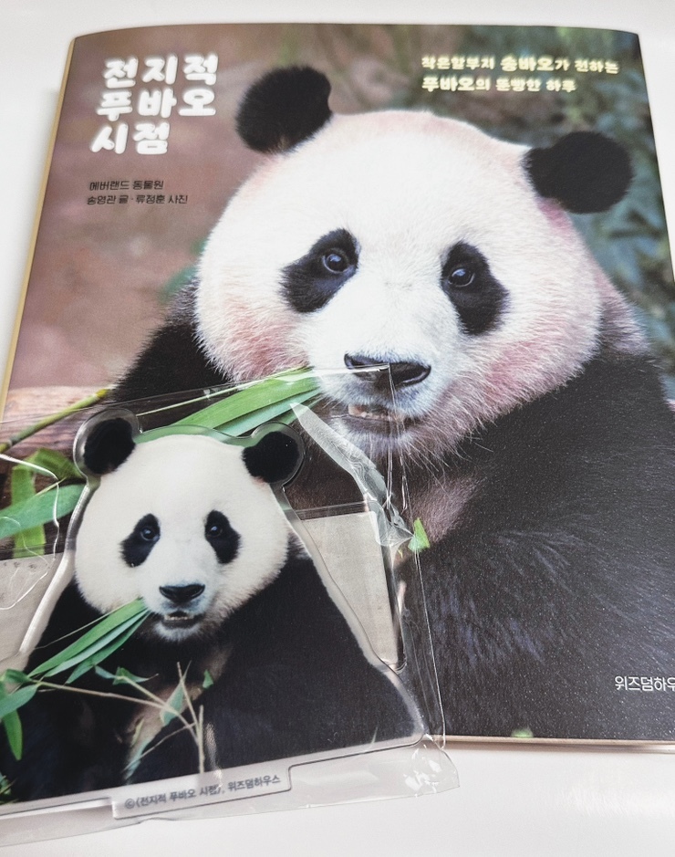  송바오님의 전지적 푸바오 시점  #알라딘 #아크릴스탠드