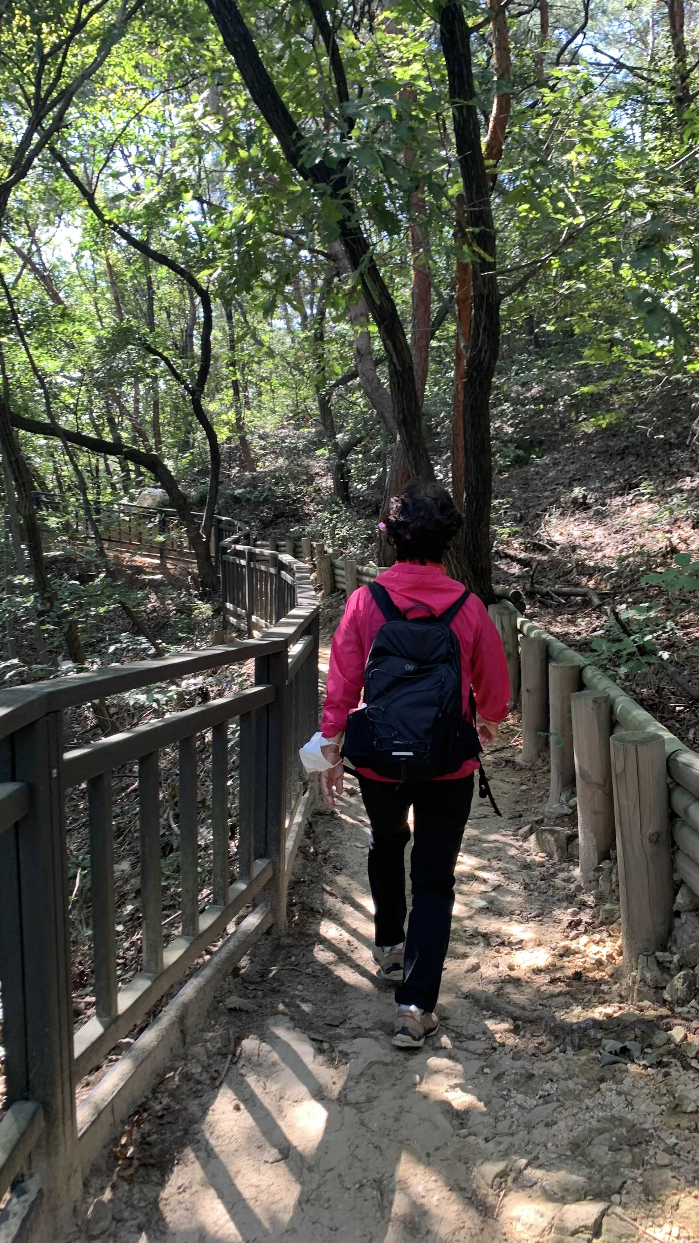 엄마 산행하는 모습