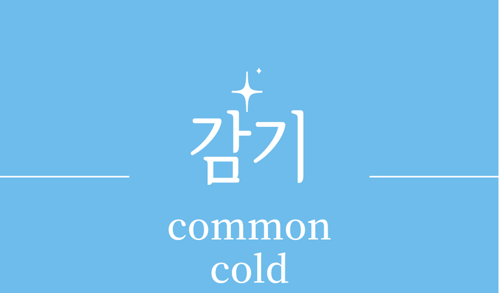 &#39;감기(common cold)&#39;