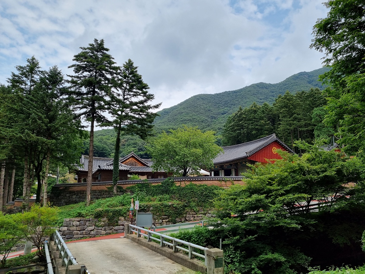 서울근교 파주 계곡 보광사: 문화, 역사, 자연이 있는 절과 물놀이하기 좋은 계곡