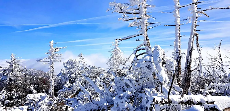 제주 한라산 설경 상고대