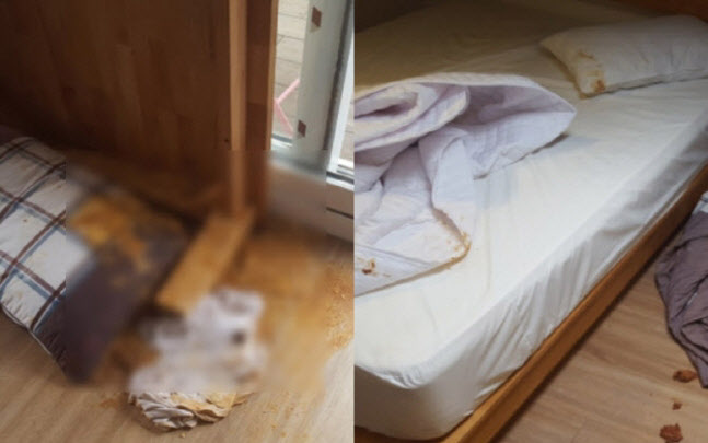  "기본 매너"vs"돈 냈는데"..펜션 뒤처리는 누구 몫?
