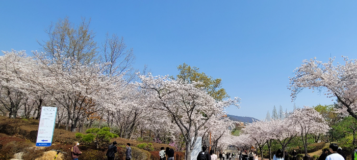 계명대학교 성서캠퍼스