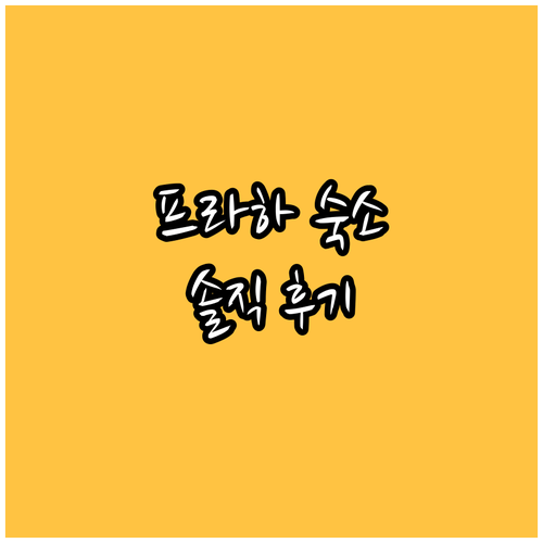 프라하 Art House Apartm