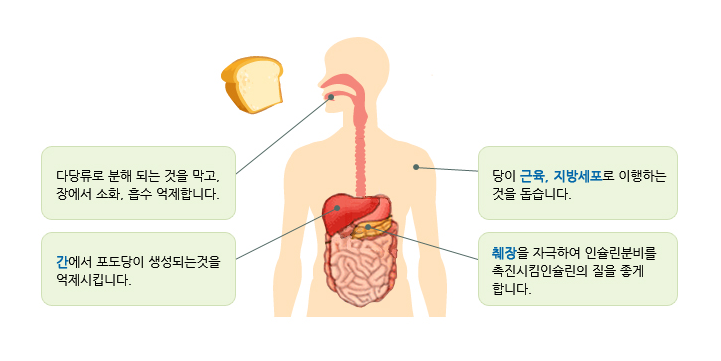  [당뇨병 초기증상] 원인과 치료법 그리고 진단기준은?