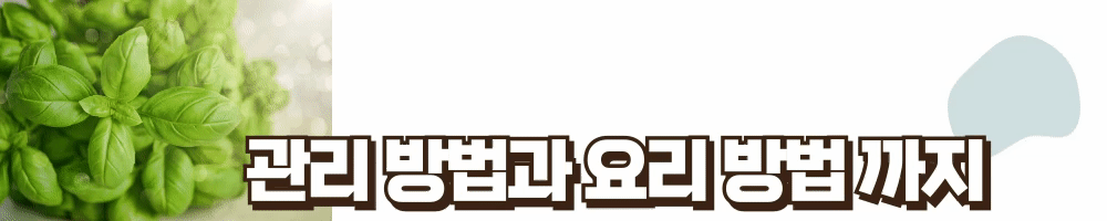 제목을-입력해주세요_ (5).gif