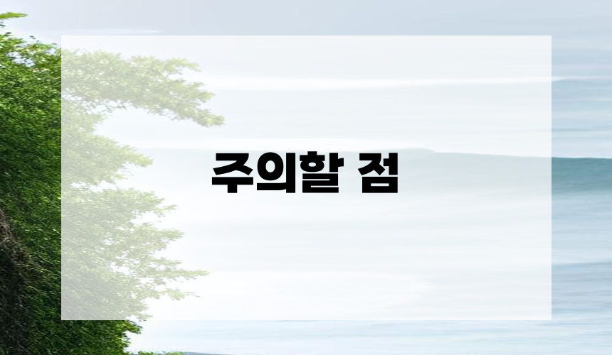 주의할 점