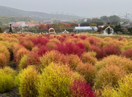 산들소리 가을 전경