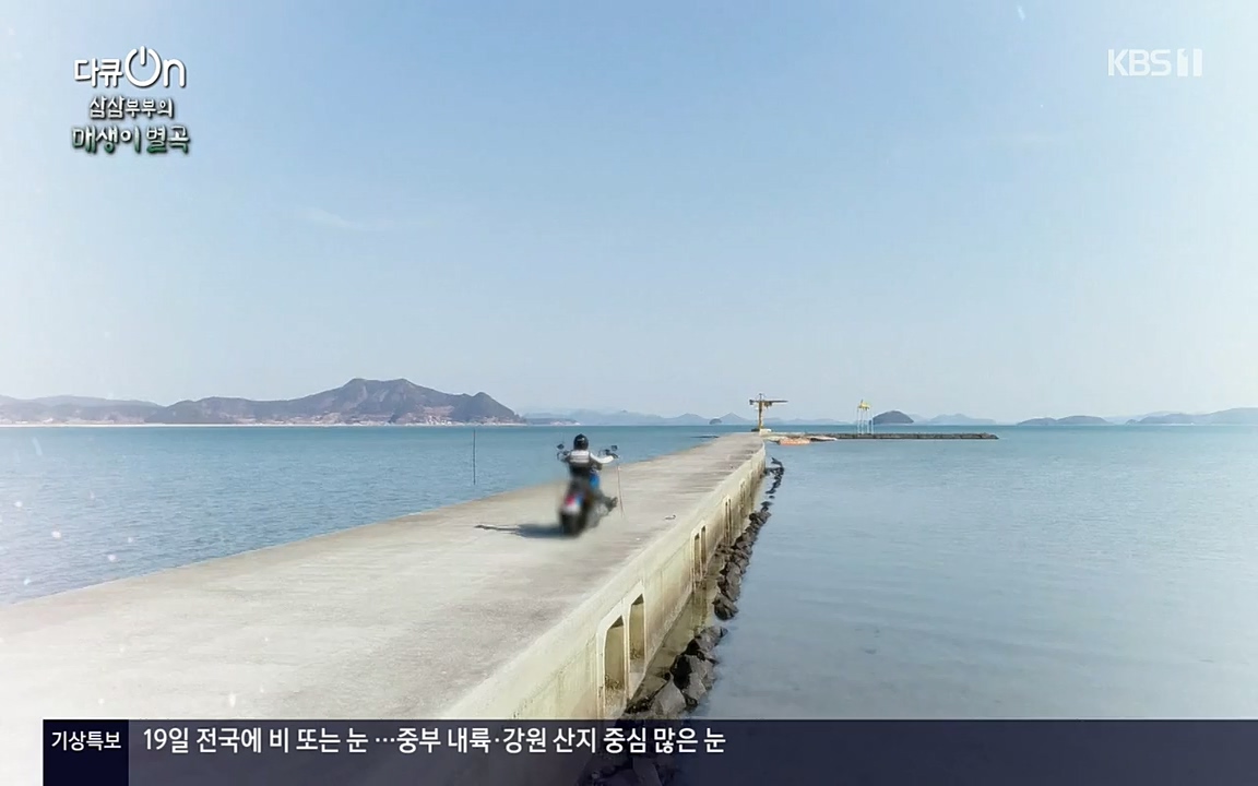 다큐 온.E131p-NEXT.mp4_20220319_174019.400.jpg