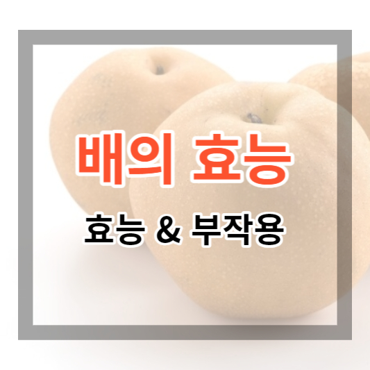  배 효능 및 부작용 정보 확인하고 건강하게 먹기