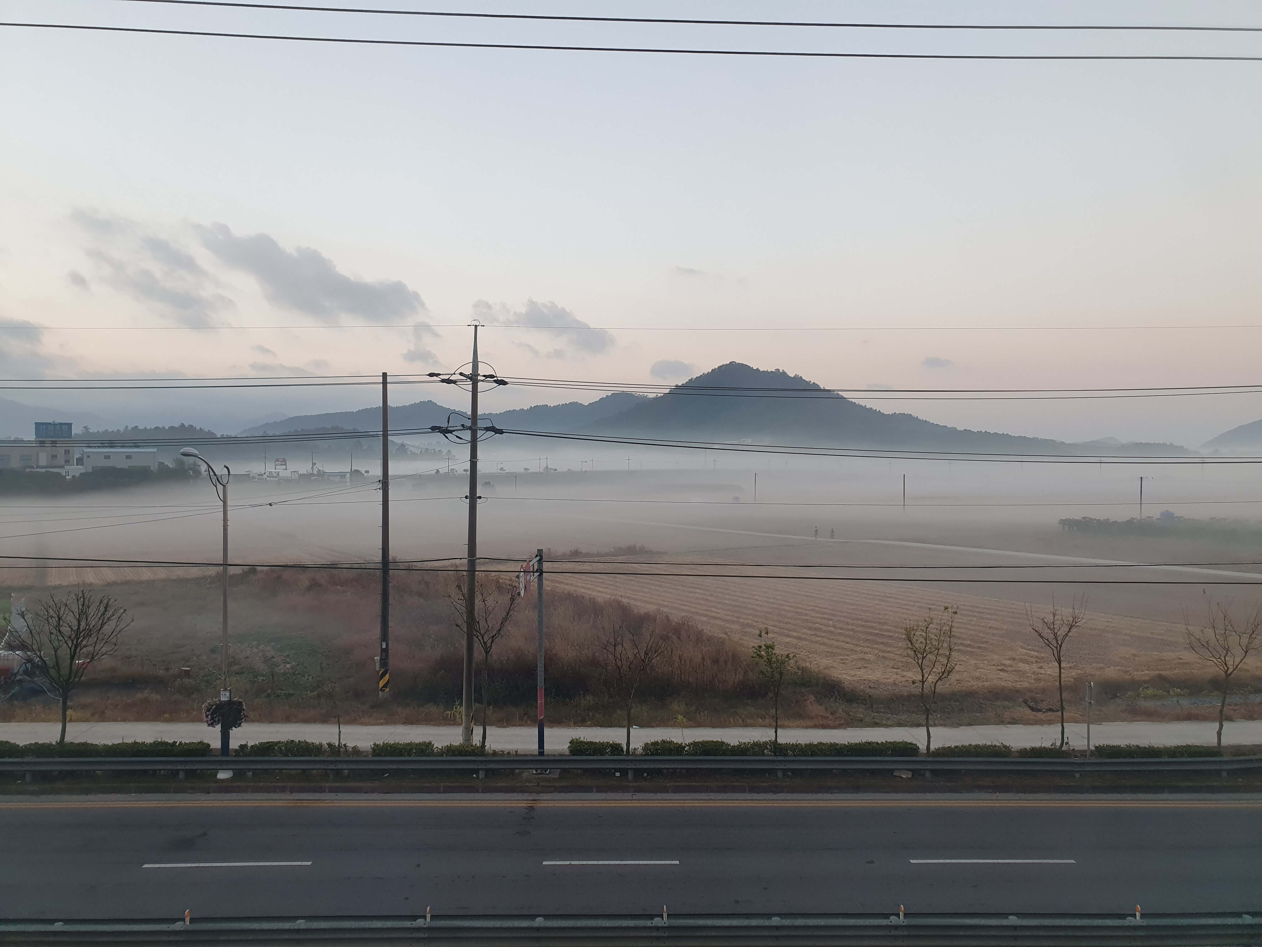 이른 아침 남도호텔 앞 안개