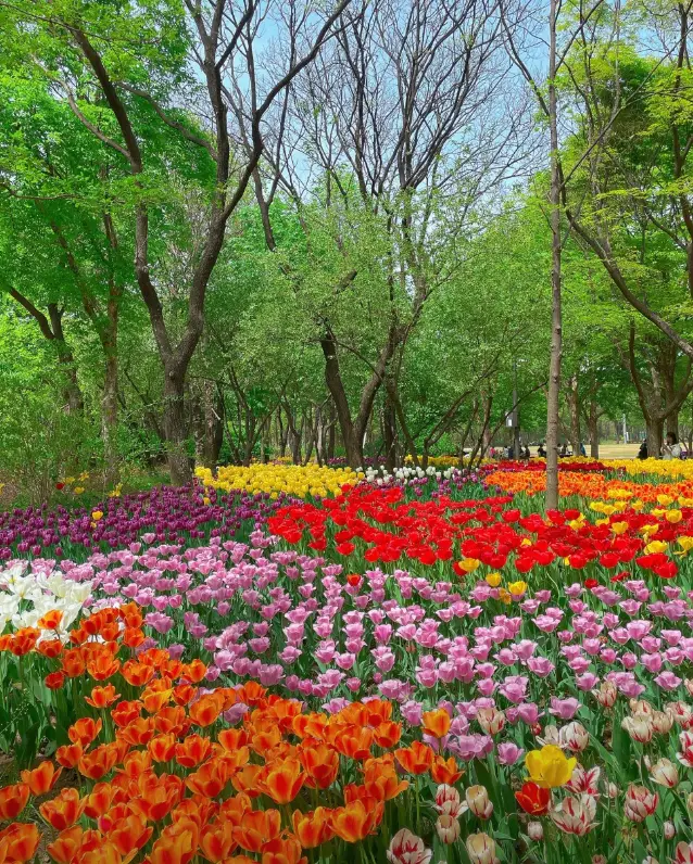 서울숲4