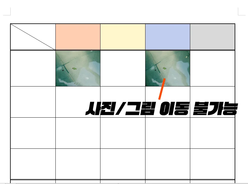 표에 사진이 제대로 들어간 모습