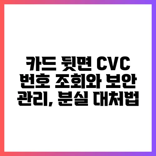 카드 뒷면 CVC 번호 조회와 보안 관리, 분실 대처법