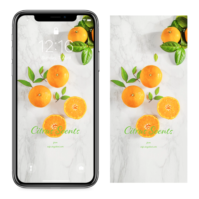 02 반으로 자른 감귤 C - Citrus Scents 아이폰주황색배경화면