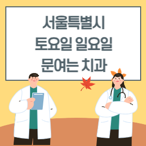 서울 토요일 일요일 치과 진료 병원