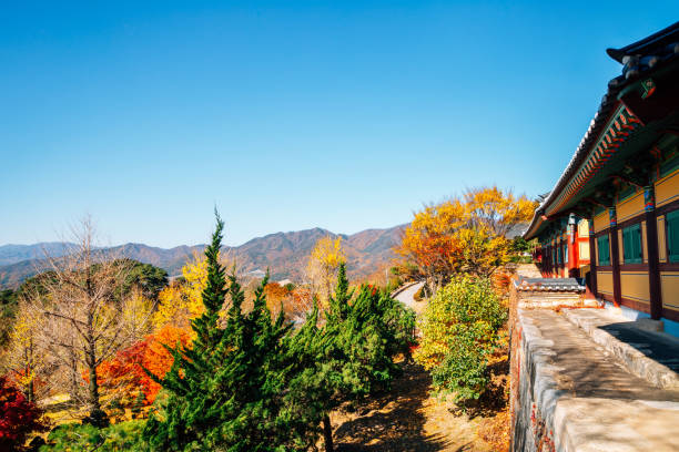 단풍 절정시기 설악산, 내장산, 지리산 단풍 절정시기 알아보기