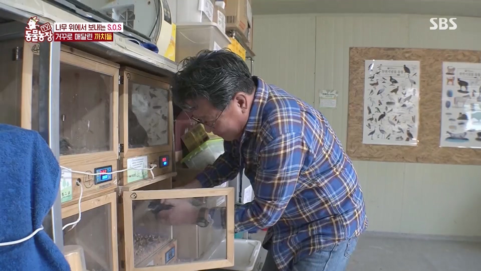 TV 동물농장.E1126.230625p.H264-F1RST.mp4_20230626_204305.189.jpg
