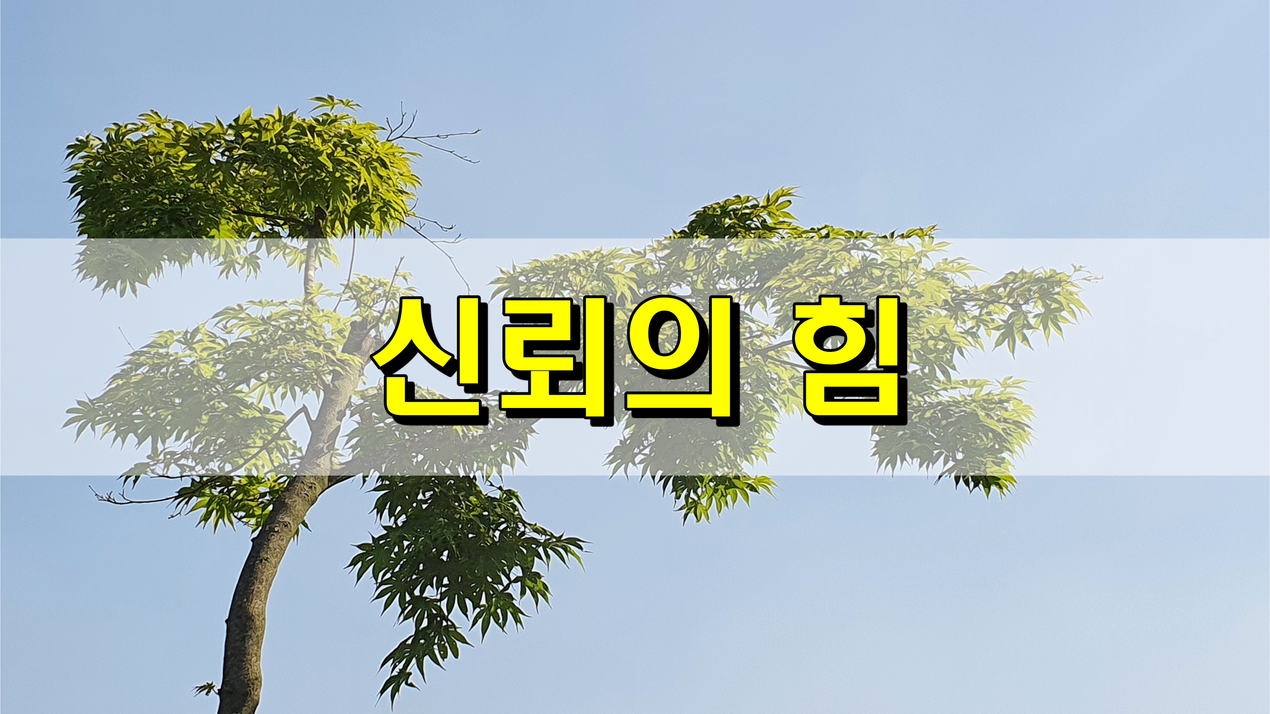  신뢰의 힘 [성장 명언]