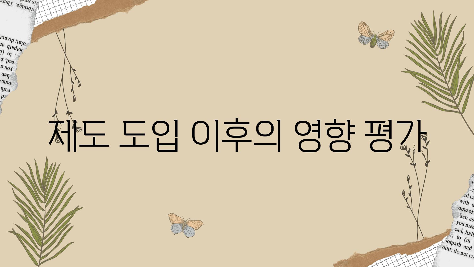 제도 도입 이후의 영향 평가